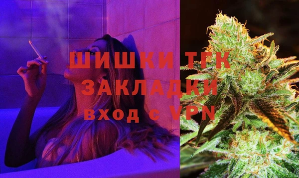 стаф Вяземский