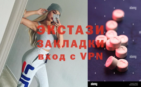 стаф Вяземский